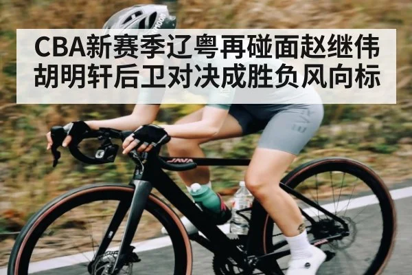 CBA新赛季辽粤再碰面赵继伟胡明轩后卫对决成胜负风向标 | kaiyun